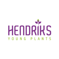 hendriks