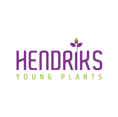 hendriks